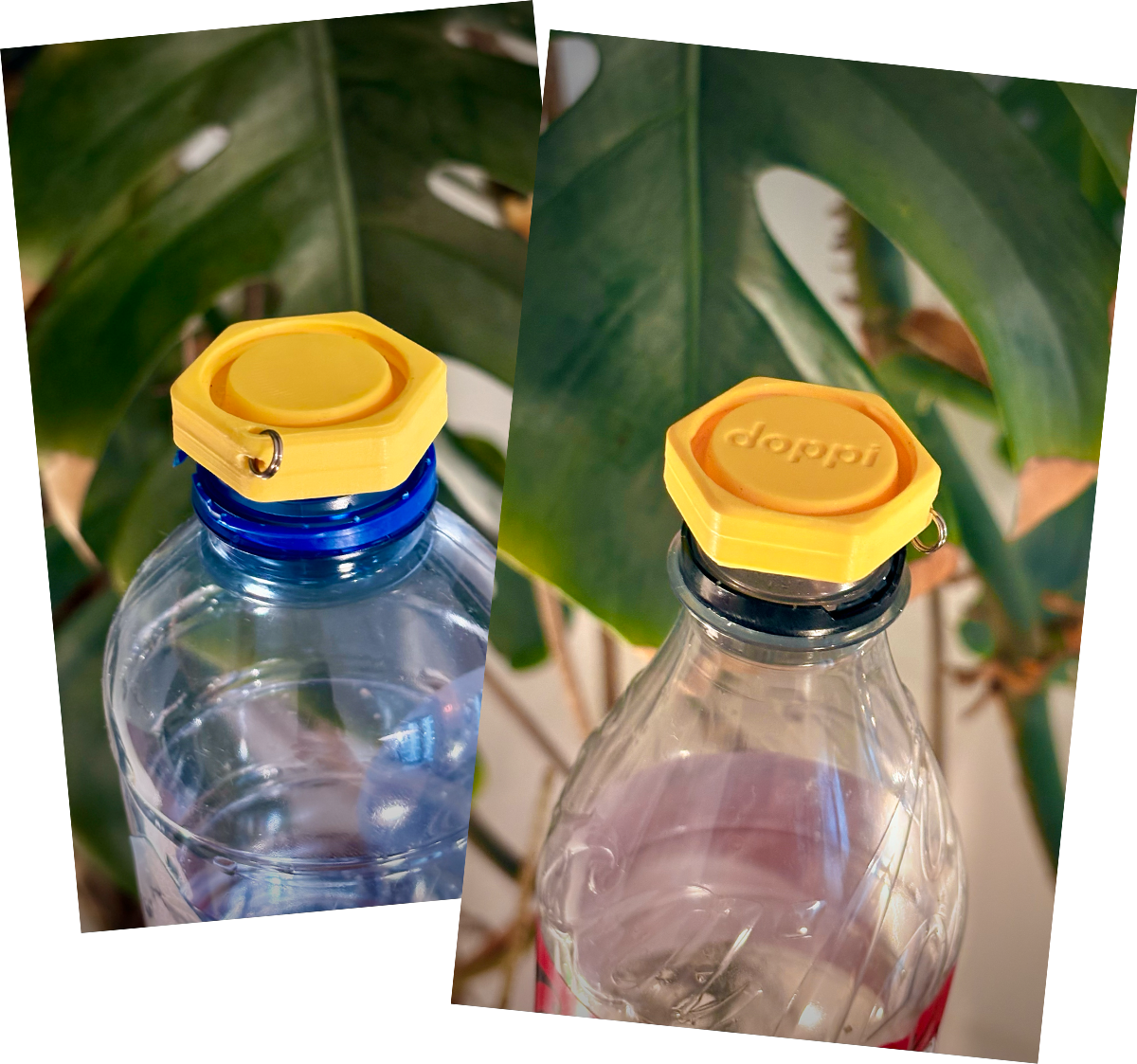 Verschillende flesjes met Doppi festival dop