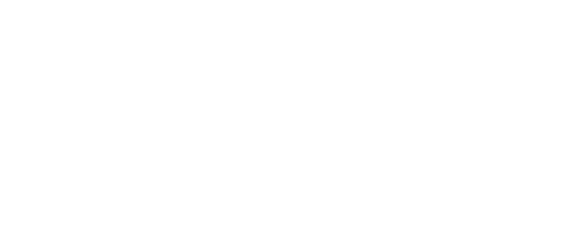 Doppi logo wit